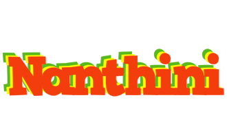 Nanthini bbq logo