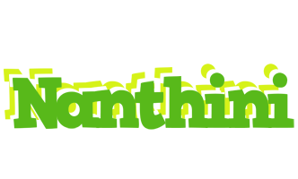 Nanthini picnic logo