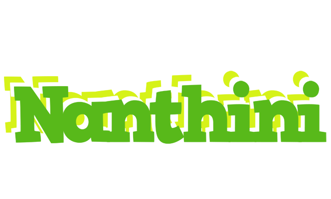 Nanthini picnic logo