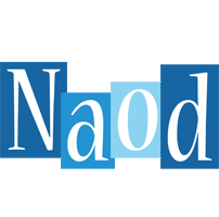 Naod winter logo