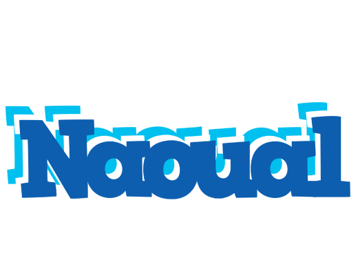 Naoual business logo
