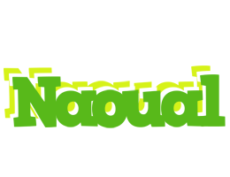 Naoual picnic logo