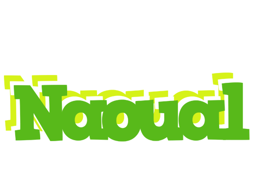 Naoual picnic logo