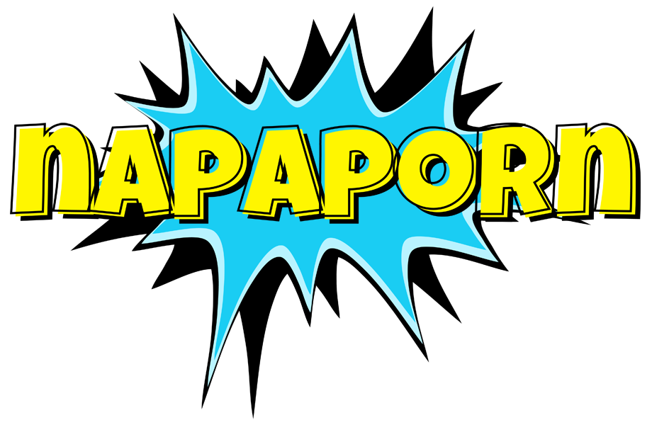 Napaporn amazing logo