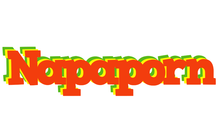 Napaporn bbq logo