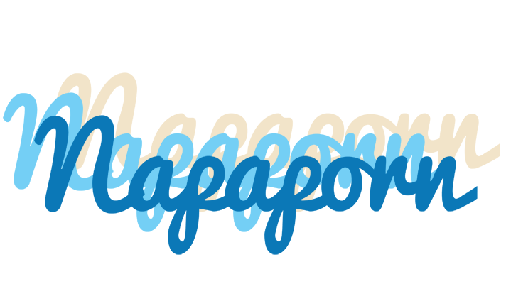 Napaporn breeze logo
