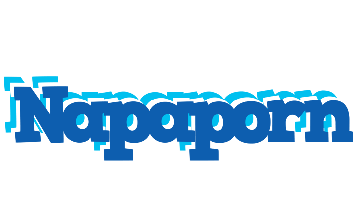 Napaporn business logo