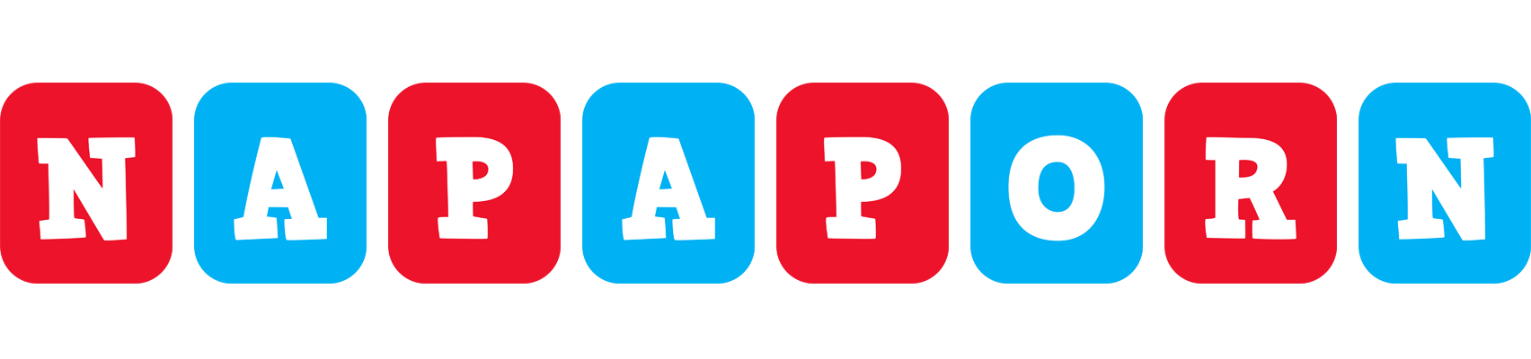 Napaporn diesel logo