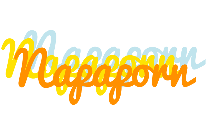 Napaporn energy logo