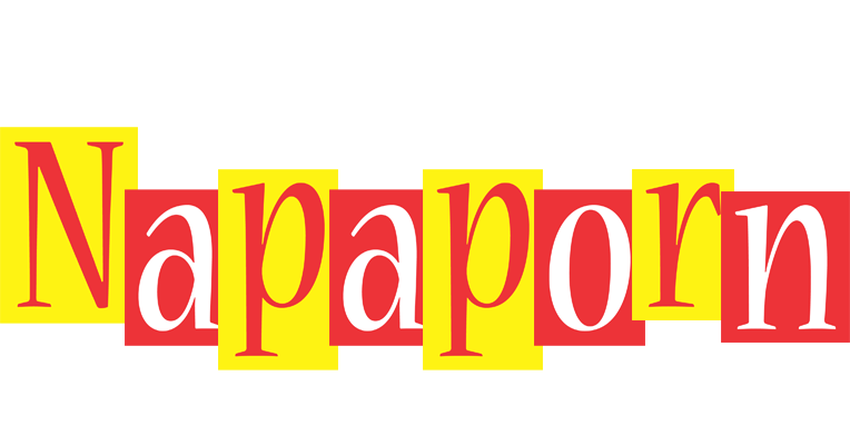Napaporn errors logo