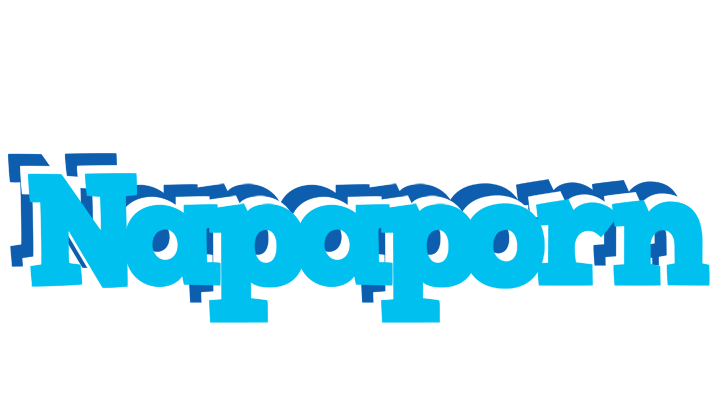 Napaporn jacuzzi logo