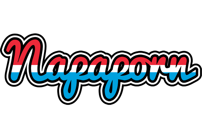 Napaporn norway logo