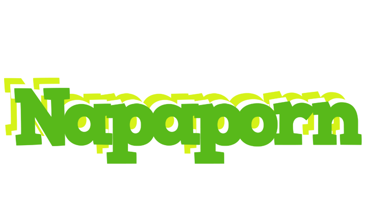 Napaporn picnic logo