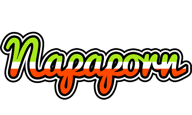 Napaporn superfun logo