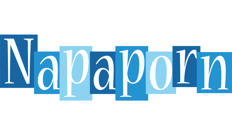 Napaporn winter logo