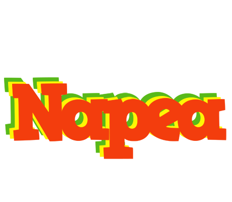 Napea bbq logo