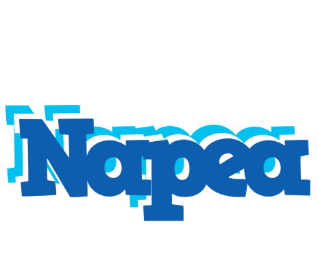 Napea business logo
