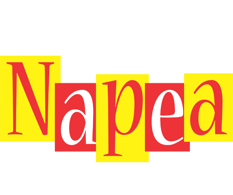 Napea errors logo