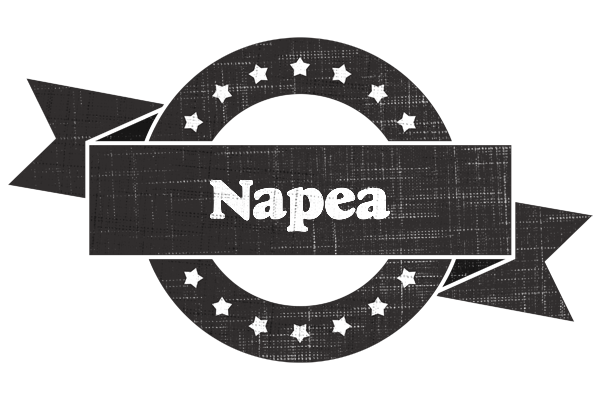 Napea grunge logo