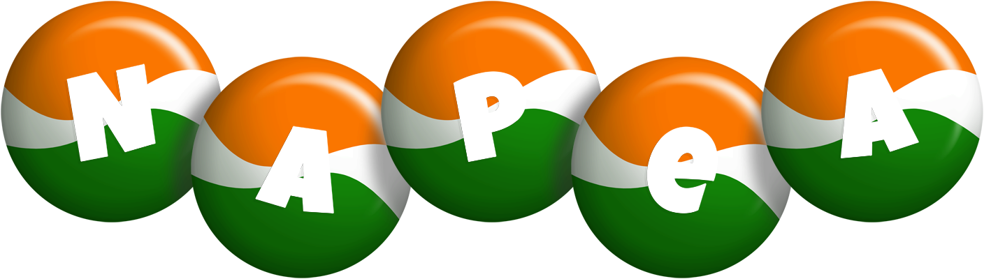 Napea india logo