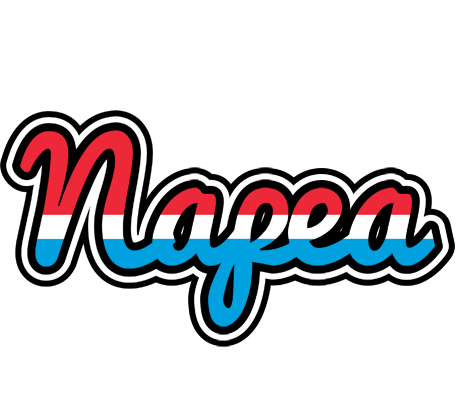 Napea norway logo