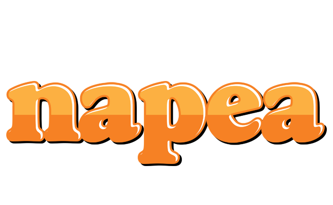 Napea orange logo