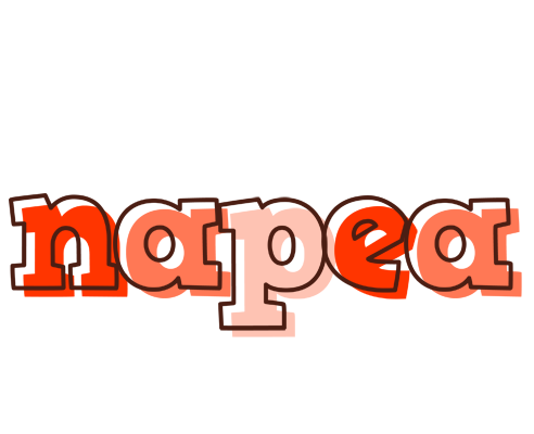 Napea paint logo