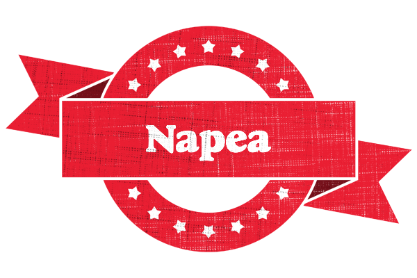Napea passion logo