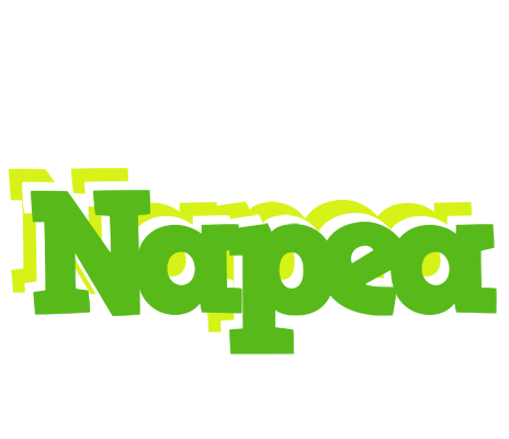Napea picnic logo