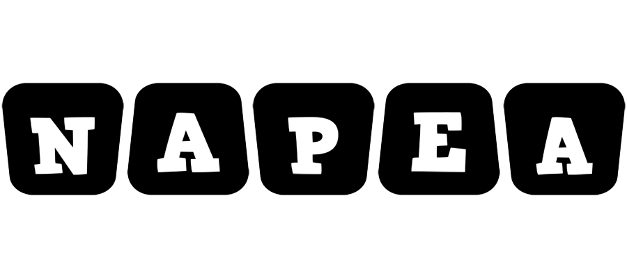 Napea racing logo