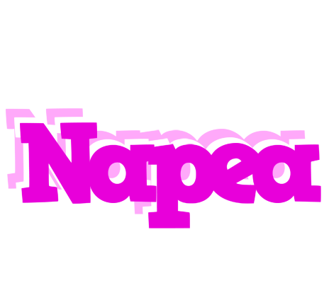 Napea rumba logo