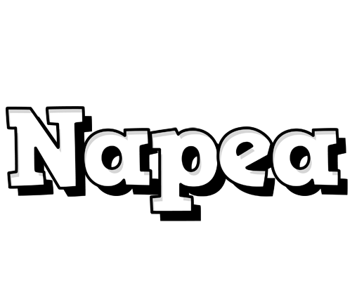 Napea snowing logo