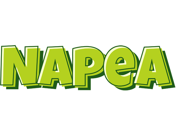 Napea summer logo