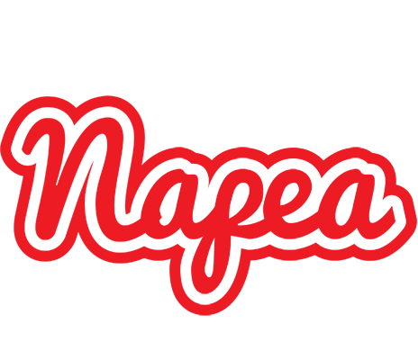 Napea sunshine logo