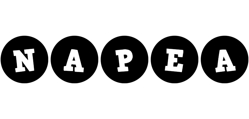 Napea tools logo