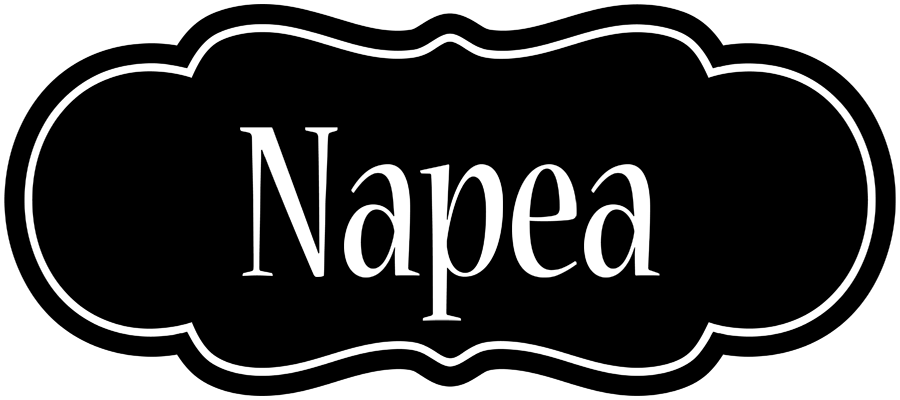 Napea welcome logo