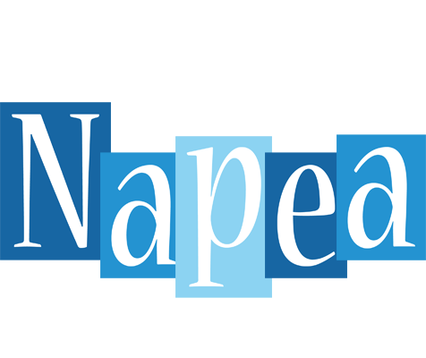 Napea winter logo