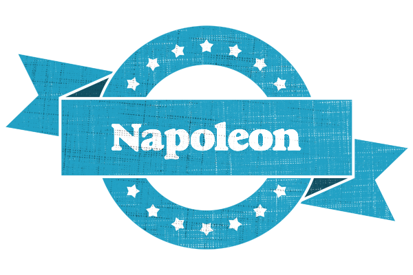 Napoleon balance logo