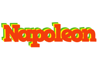 Napoleon bbq logo