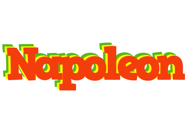 Napoleon bbq logo
