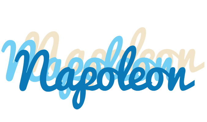 Napoleon breeze logo