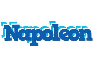 Napoleon business logo