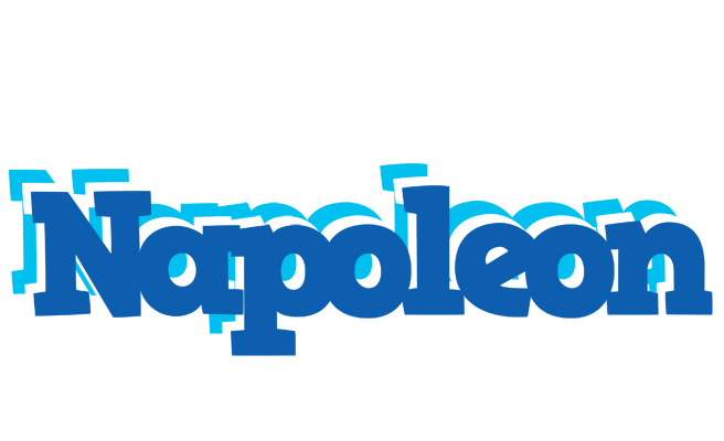 Napoleon business logo