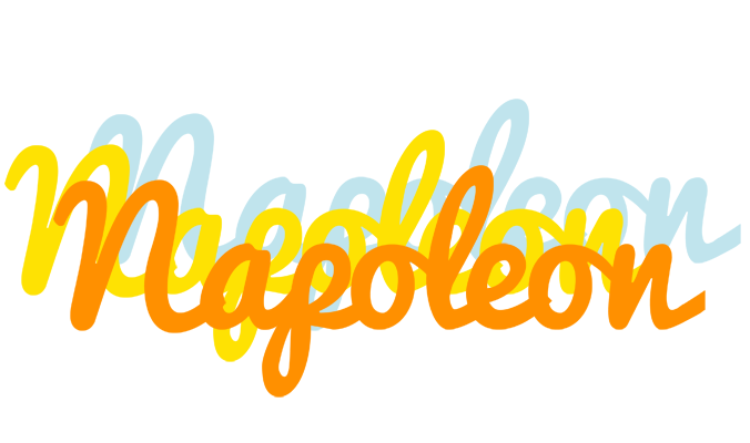 Napoleon energy logo
