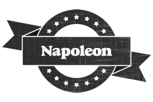 Napoleon grunge logo