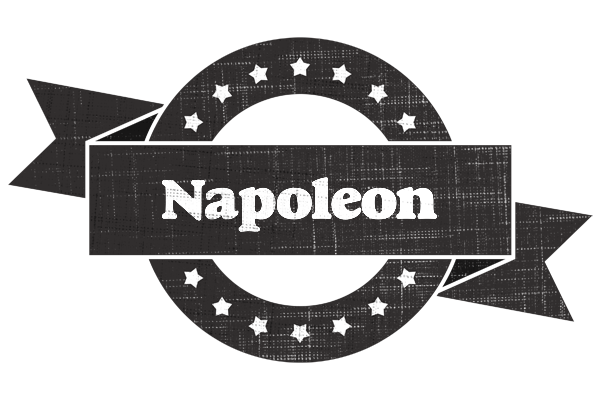 Napoleon grunge logo
