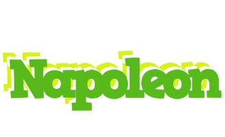 Napoleon picnic logo