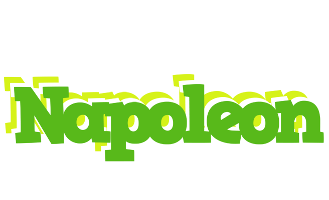Napoleon picnic logo