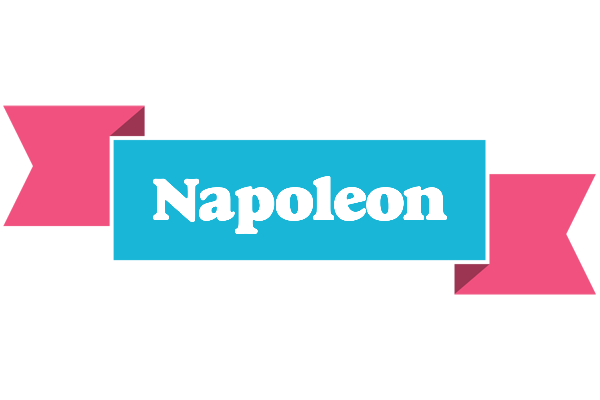 Napoleon today logo