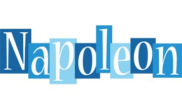 Napoleon winter logo